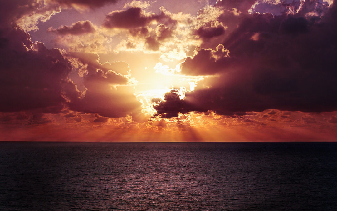 ownCloud Phoenix – rebirth of the ownCloud user interface