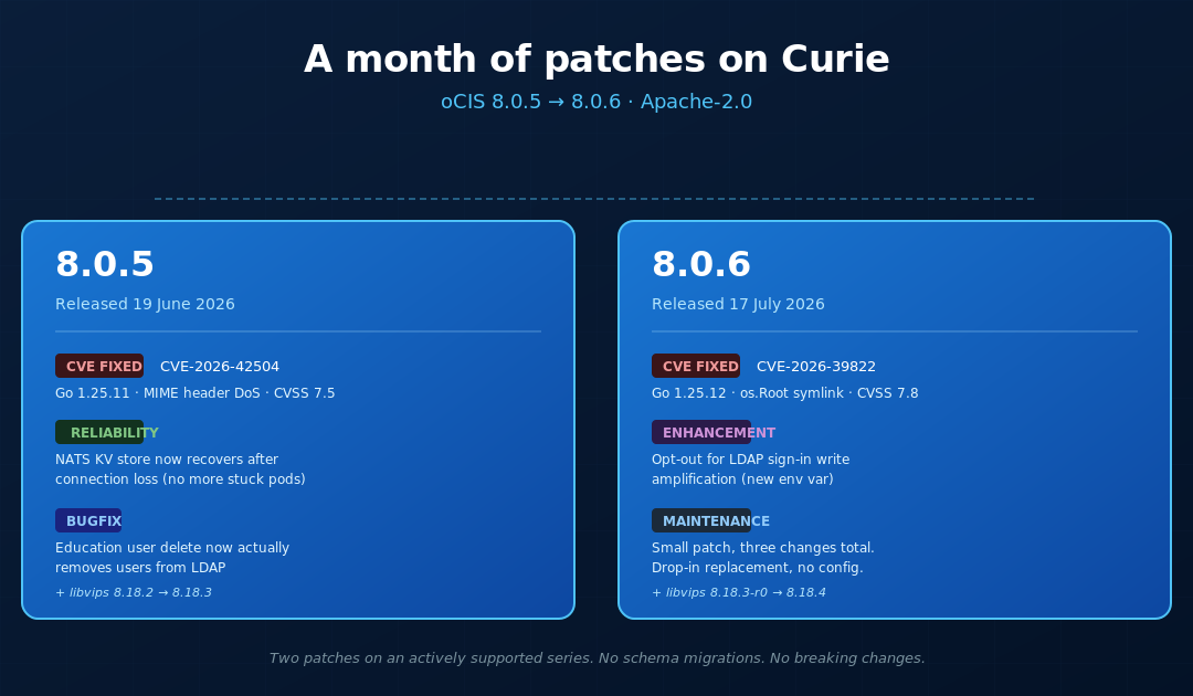 oCIS 8.0.5 and 8.0.6: A Month of Patches on the Curie Series