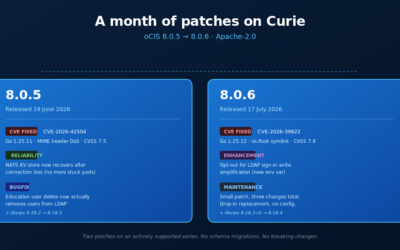 oCIS 8.0.5 and 8.0.6: A Month of Patches on the Curie Series
